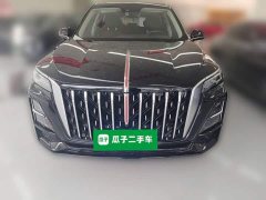 Hongqi HS5 2.0T AWD Qixiang Pro Edition - фото 5
