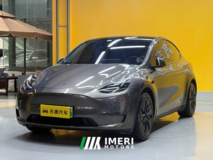 Tesla Model Y 2021 standard range rear-wheel drive version - автомобиль из Китая
