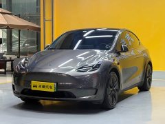 Tesla Model Y 2021 standard range rear-wheel drive version - фото 1