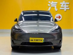 Tesla Model Y 2021 standard range rear-wheel drive version - фото 2