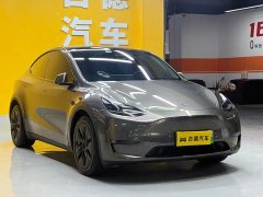 Tesla Model Y 2021 standard range rear-wheel drive version - фото 3