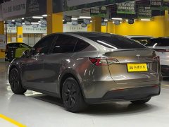 Tesla Model Y 2021 standard range rear-wheel drive version - фото 5