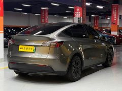 Tesla Model Y 2021 standard range rear-wheel drive version - фото 7