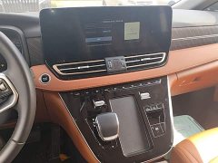 Hongqi HQ9 PHEV 2.0T AWD Business Edition - фото 13