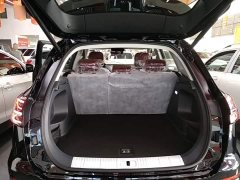 Hongqi HS5 2.0T two-wheel drive Qixiang Pro version - фото 19
