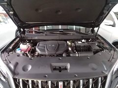Hongqi HS5 2.0T two-wheel drive Qixiang Pro version - фото 20