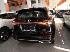 Hongqi HS5 2.0T two-wheel drive Qixiang Pro version - фото 6