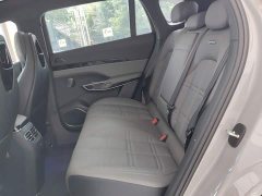 Hongqi Tiangong 08 730 Max rear-wheel drive version - фото 17