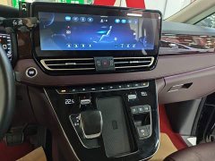 Hongqi HQ9 2023 2.0T Zhilian Qiling Edition - фото 13