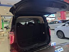 Hongqi HQ9 2023 2.0T Zhilian Qiling Edition - фото 19