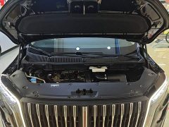 Hongqi HQ9 2023 2.0T Zhilian Qiling Edition - фото 20