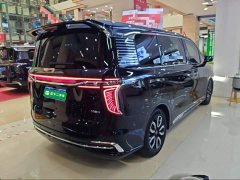 Hongqi HQ9 2023 2.0T Zhilian Qiling Edition - фото 7