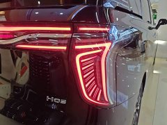Hongqi HQ9 2023 2.0T Zhilian Qiling Edition - фото 8