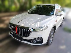 Hongqi HS5 2019 2.0T Zhilian Flagship Edition - фото 1