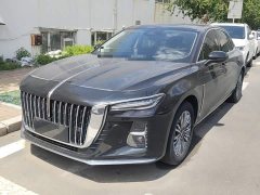 Hongqi H5 2023 2.0T Automatic Intelligent Connected Flag Edition - фото 2