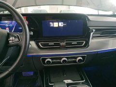 Hongqi HS5 2.0T Qixiang Pro Edition - фото 9