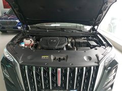 Hongqi HS5 2.0T two-wheel drive Qixiang Pro version - фото 16