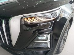 Hongqi HS5 2.0T two-wheel drive Qixiang Pro version - фото 18