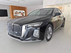 Hongqi H5 1.5T DCT Zhilian Qiyun Edition - фото 2