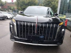 Hongqi HS7 2024 2.0T automatic two-wheel drive Qiyue version, five seats - фото 3