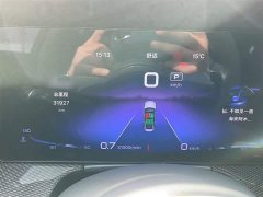 Hongqi HQ9 PHEV 2.0T four-wheel drive luxury version - фото 12