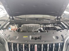 Hongqi HS5 2.0T two-wheel drive Qixiang Pro version - фото 15
