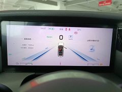 Hongqi HS7 PHEV 2.0T PHEV four-wheel drive Qichang version 6 seats - фото 18