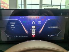 Hongqi H9 Facelift 2.0T RWD Flagship Private Luxury Edition 5-Seater - фото 13