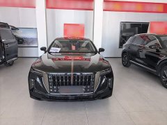 Hongqi H9 Facelift 2.0T RWD Flagship Private Luxury Edition 5-Seater - фото 3