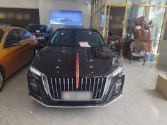 Hongqi H5 2.0T automatic Qichang version - фото 6