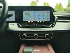 Hongqi HS5 2023 2.0T Qixiang Pro 500,000 Units Commemorative Edition - фото 9