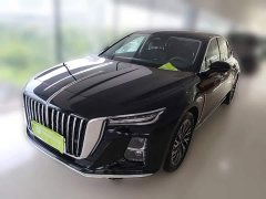 Hongqi H5 2024 2.0T Automatic Zhilianqichang Edition - фото 1