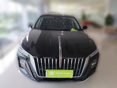 Hongqi H5 2024 2.0T Automatic Zhilianqichang Edition - фото 5