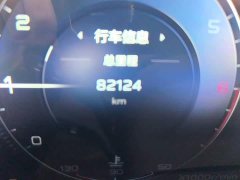 Hongqi H9 2020 3.0T Zhilian Qiling four-seater version - фото 11