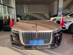 Hongqi H9 2020 3.0T Zhilian Qiling four-seater version - фото 3