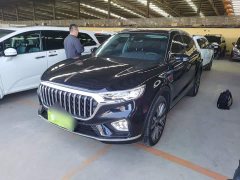 Hongqi HS5 2022 facelift 2.0T Zhilian Qixiang four-wheel drive version - фото 2