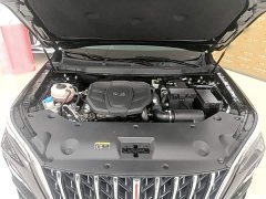 Hongqi HS5 2023 2.0T Qixiang Pro Edition - фото 17