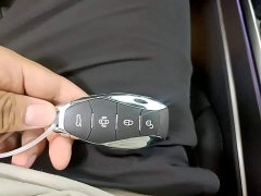 Hongqi HS5 2023 2.0T Qixiang Pro Edition - фото 18