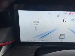 Hongqi H6 2025 2.0T Zhimei Edition - фото 6