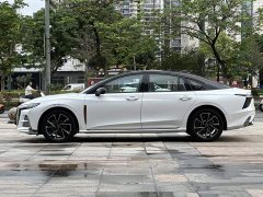 Hongqi H6 2025 2.0T Zhimei Edition - фото 9