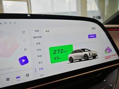 Hongqi EH7 640 four-wheel drive smart version - фото 17