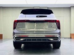 Hongqi E-HS9 660km flag collar version four seats - фото 5