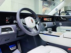 Hongqi E-HS9 660km flag collar version four seats - фото 7