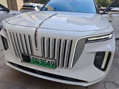 Hongqi E-HS9 460km flagship version six seats - фото 12