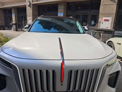 Hongqi E-HS9 460km flagship version six seats - фото 14