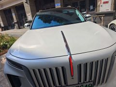 Hongqi E-HS9 460km flagship version six seats - фото 16