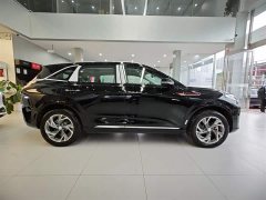 Hongqi HS3 PHEV 2024 115km Jinwei Edition - фото 3