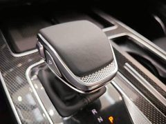 Hongqi HS5 2.0T Qiling Pro version - фото 13