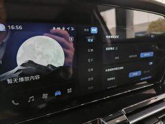 Hongqi HS5 2.0T Qiling Pro version - фото 19