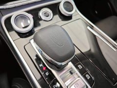 Hongqi H9 2020 2.0T Zhilian Qichang Edition - фото 15